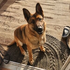 Hey yall! I'm Esther 👋